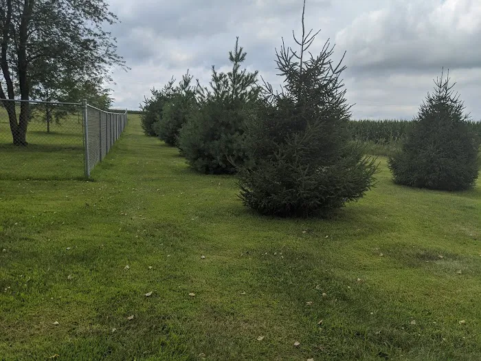 Lake Chase Dog Park 6