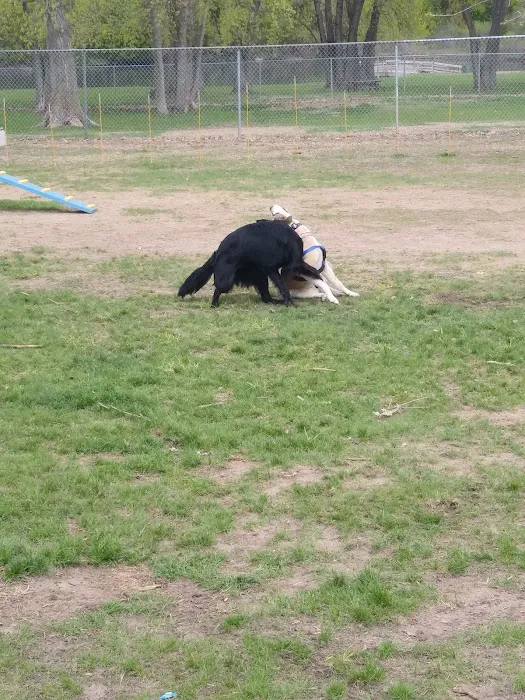 Lake Chase Dog Park 10
