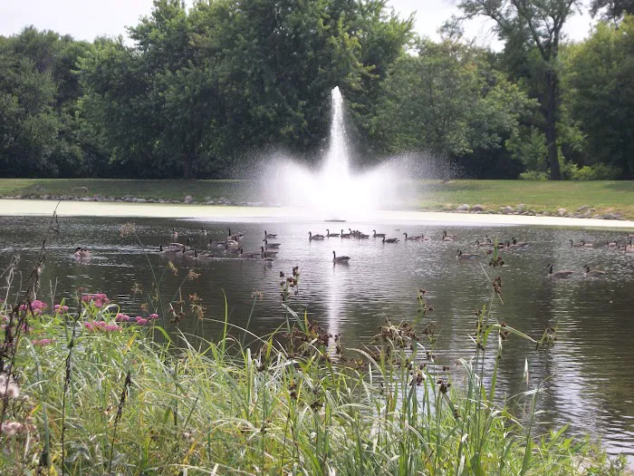 Eagle Lake Dog Park 5