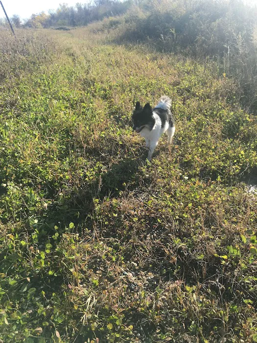 Eagle Lake Dog Park 2