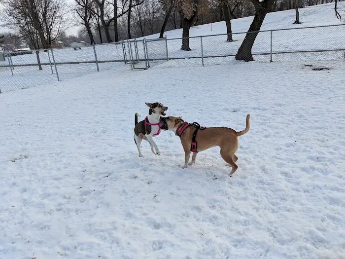 Eagle Lake Dog Park 10