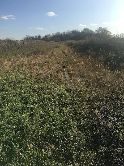 Eagle Lake Dog Park 1