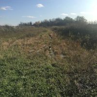 Eagle Lake Dog Park ico