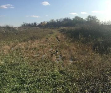 Eagle Lake Dog Park