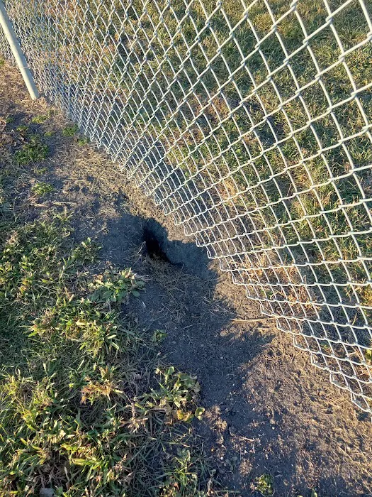 Lake Crystal Dog Park 9