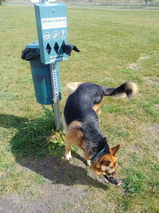 Lake Crystal Dog Park 7