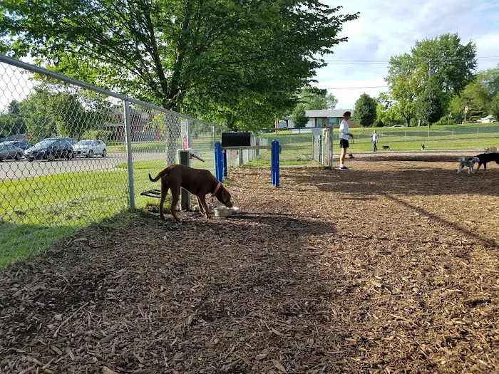 Bassett Creek Dog Park 1
