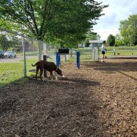 Bassett Creek Dog Park ico
