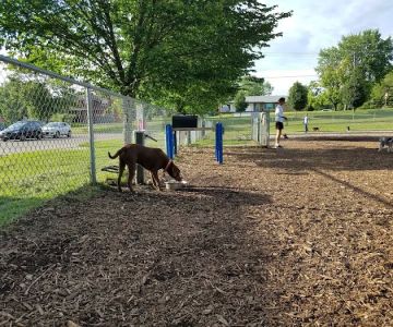 Bassett Creek Dog Park