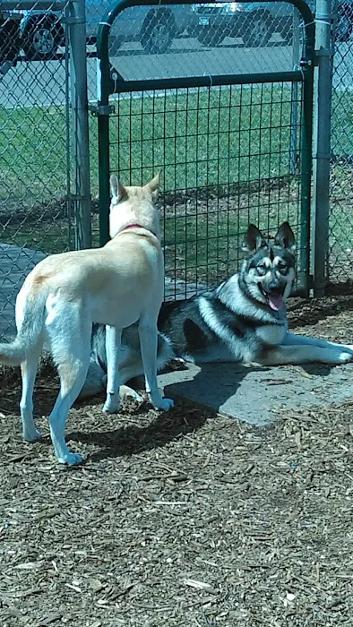 Bassett Creek Dog Park 8