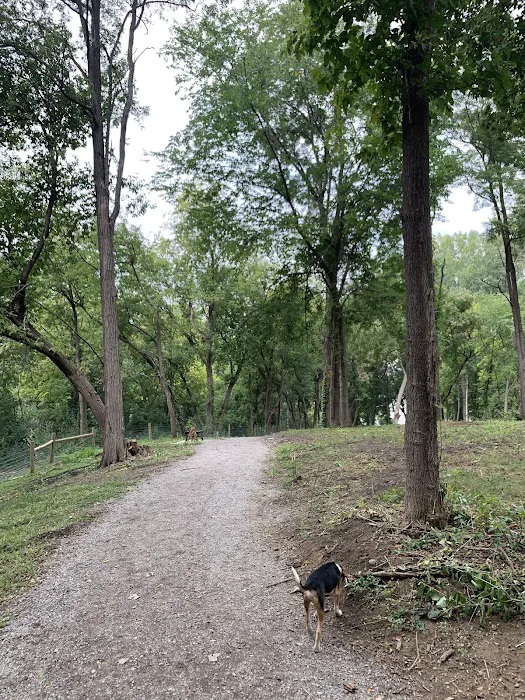 Bassett Creek Dog Park 5