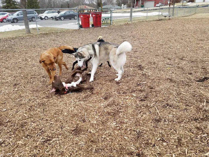 Bassett Creek Dog Park 7
