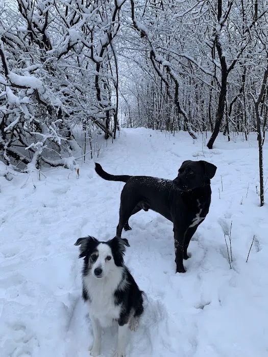 Battle Creek Dog Park 1