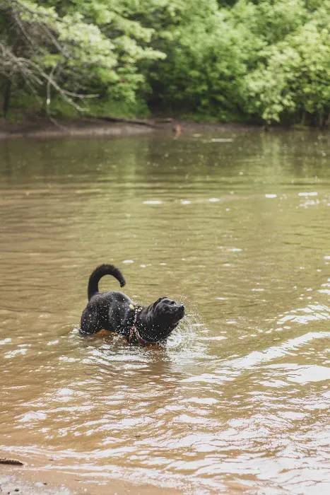 Battle Creek Dog Park 4