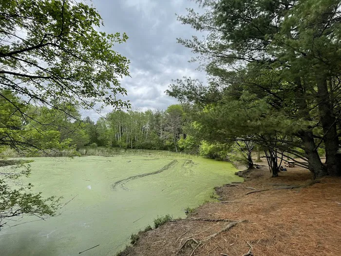Battle Creek Dog Park 9