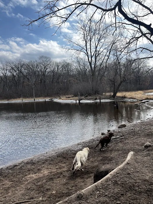 Battle Creek Dog Park 7