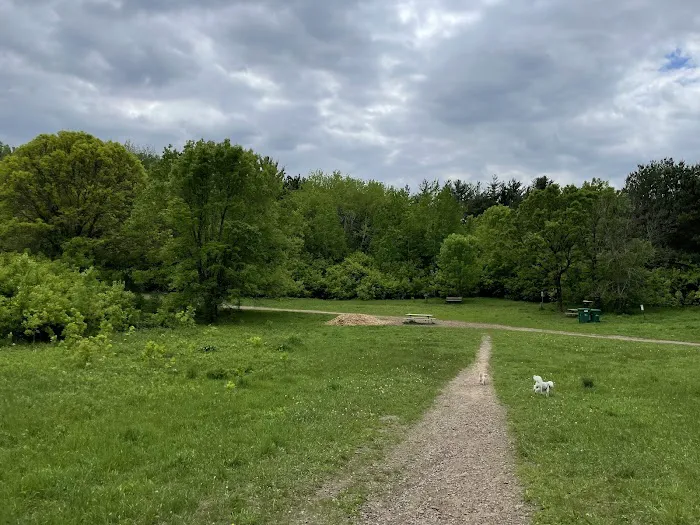 Battle Creek Dog Park 3