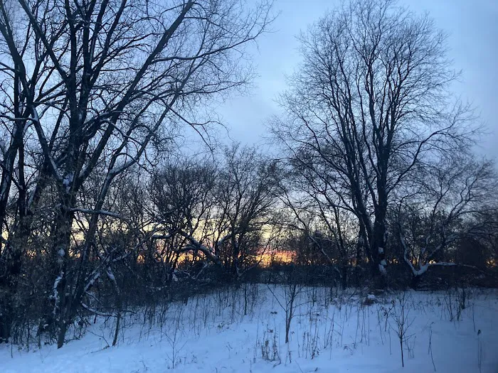 Battle Creek Dog Park 5