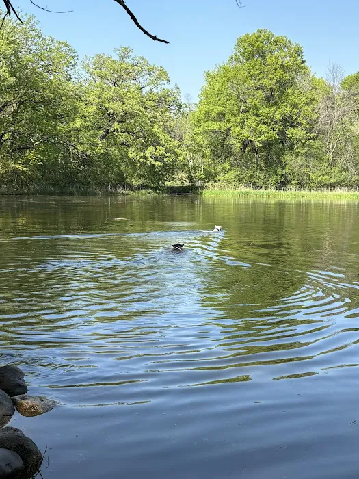 Battle Creek Dog Park 2