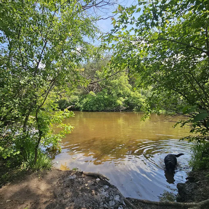 Battle Creek Dog Park 10