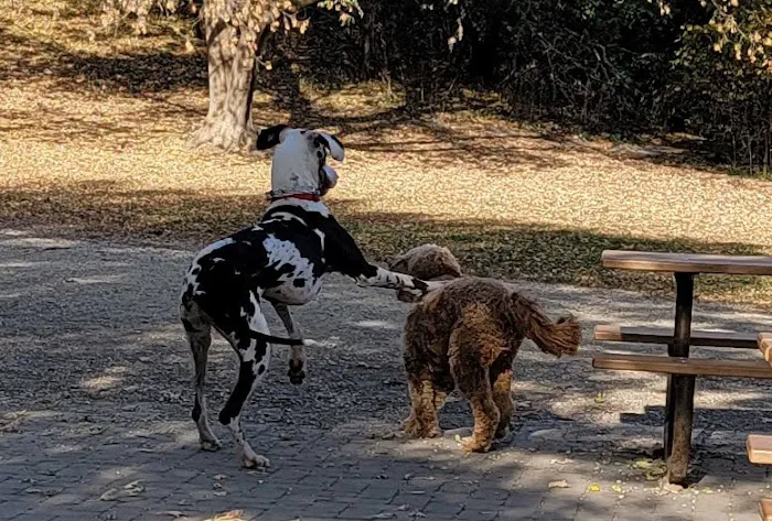 Dog Park at Fish Lake Regional Park 6