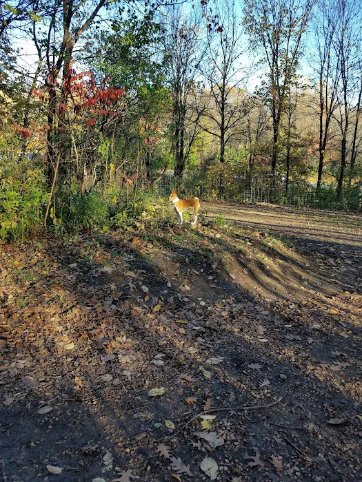 Dog Park at Fish Lake Regional Park 10