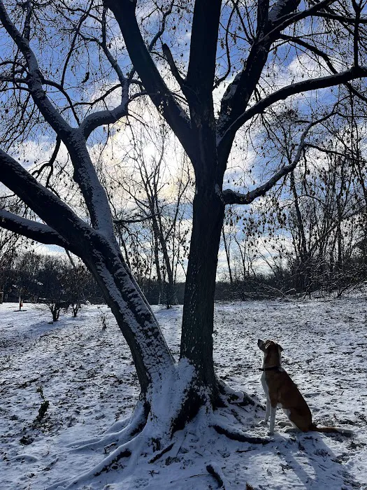 Dog Park at Fish Lake Regional Park 2