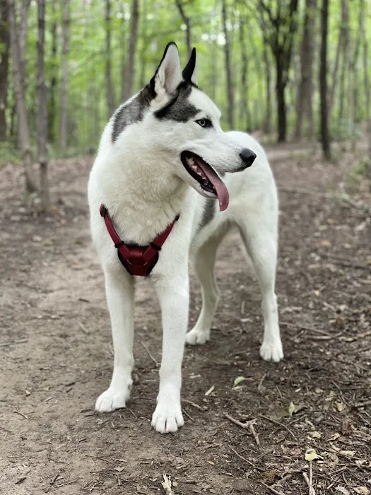Dog Park at Fish Lake Regional Park 7
