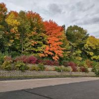 Dog Park at Fish Lake Regional Park ico