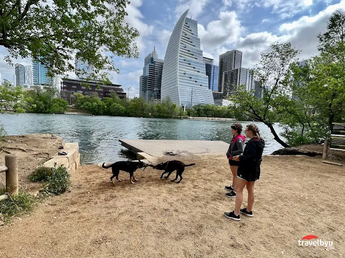 Dog Launch at Vic Mathias Shores 9