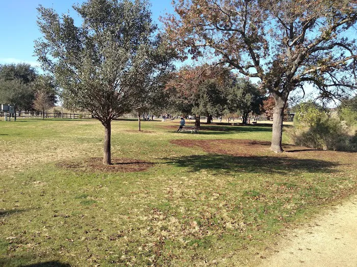 Auditorium Shores Dog Park 7