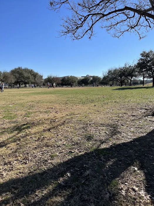 Auditorium Shores Dog Park 6