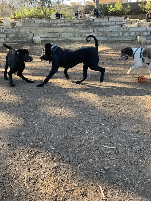 West Austin Neighborhood Dog Park 2