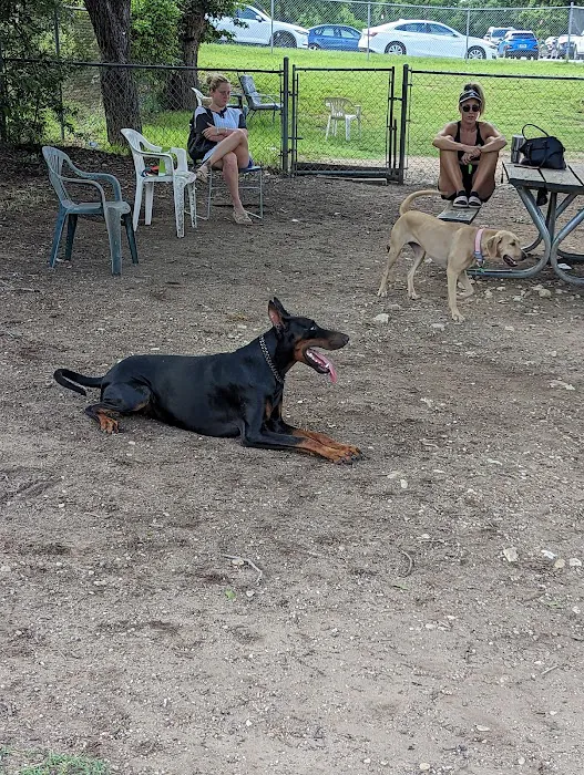 Norwood Estate Dog Park on E. Riverside 7