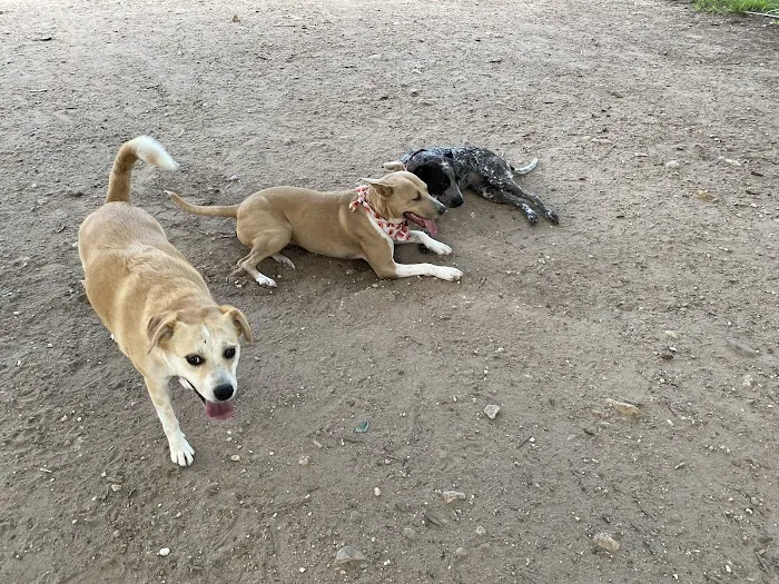 Norwood Estate Dog Park on E. Riverside 6