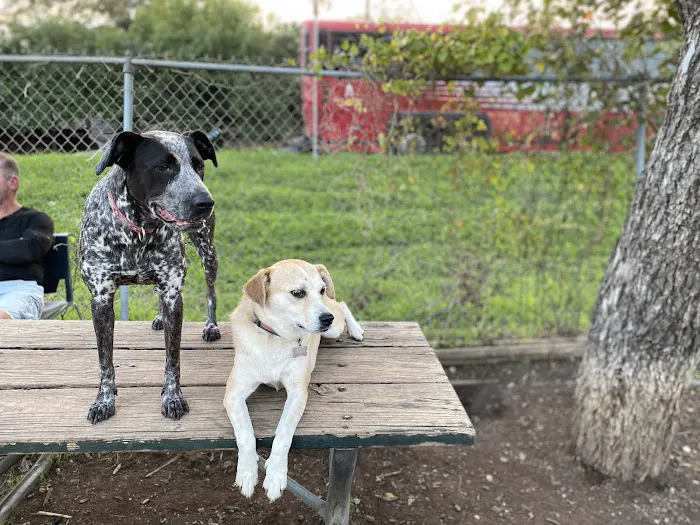 Norwood Estate Dog Park on E. Riverside 3