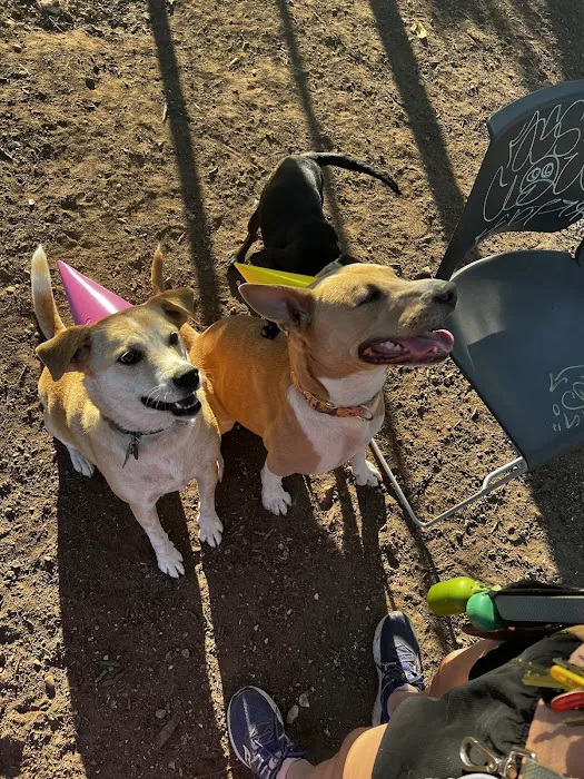 Norwood Estate Dog Park on E. Riverside 5