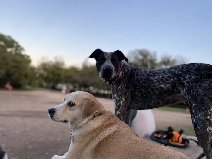 Norwood Estate Dog Park on E. Riverside 9