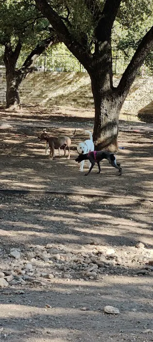 Hancock Dog Park 1