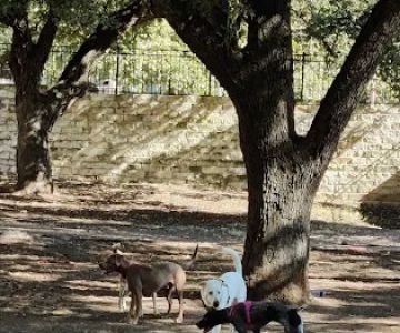Hancock Dog Park