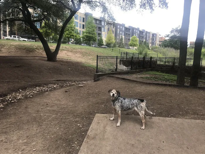 Hancock Dog Park 8