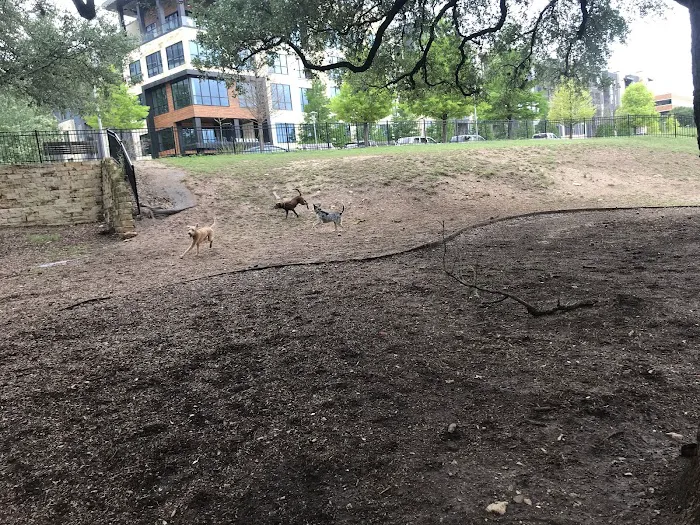 Hancock Dog Park 10
