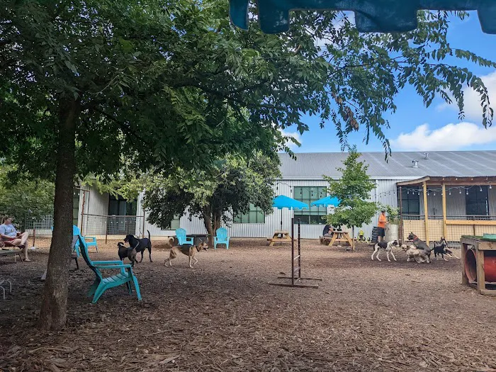 Neighbors Dog Park & Cafe 4