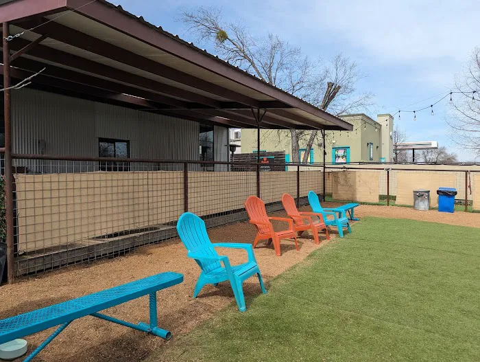 Neighbors Dog Park & Cafe 3