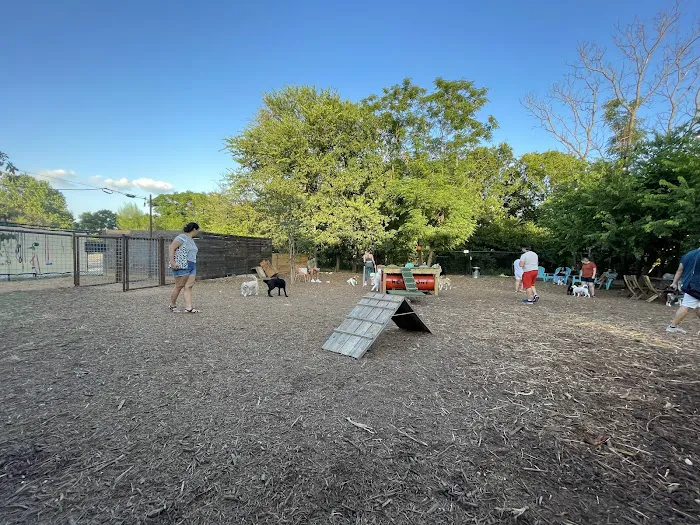 Neighbors Dog Park & Cafe 6