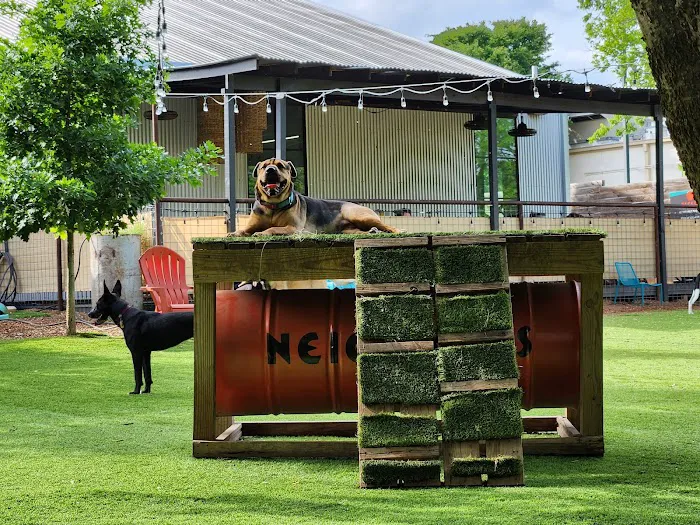 Neighbors Dog Park & Cafe 5