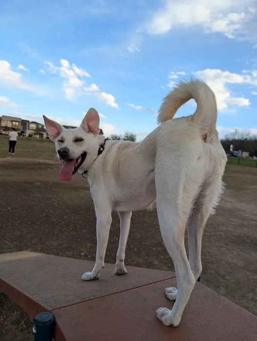 Easton Bark 2