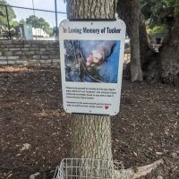 The Tucker Bowhart Dog Park ico