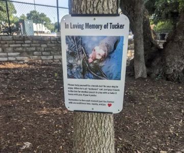The Tucker Bowhart Dog Park