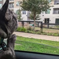 Esperanza Crossing Dog Park ico